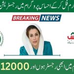 Ehsaas Program 12000