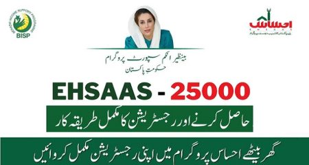 Ehsaas Program 25000