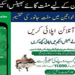 CM Livestock Asset Transfer