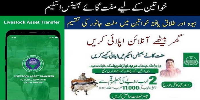 CM Livestock Asset Transfer